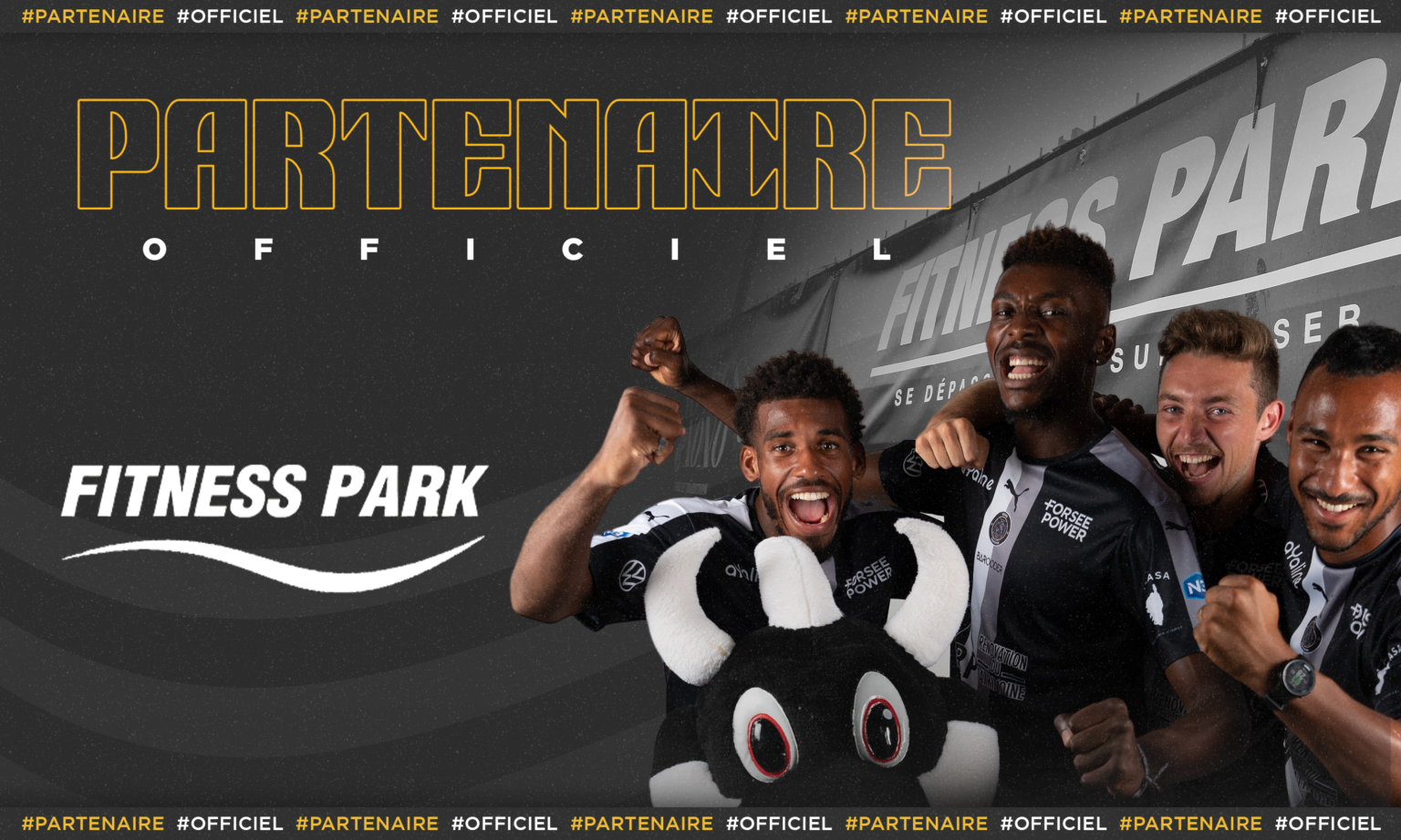 Fitness Park Partenaire Officiel des dragons Stade Poitevin FC
