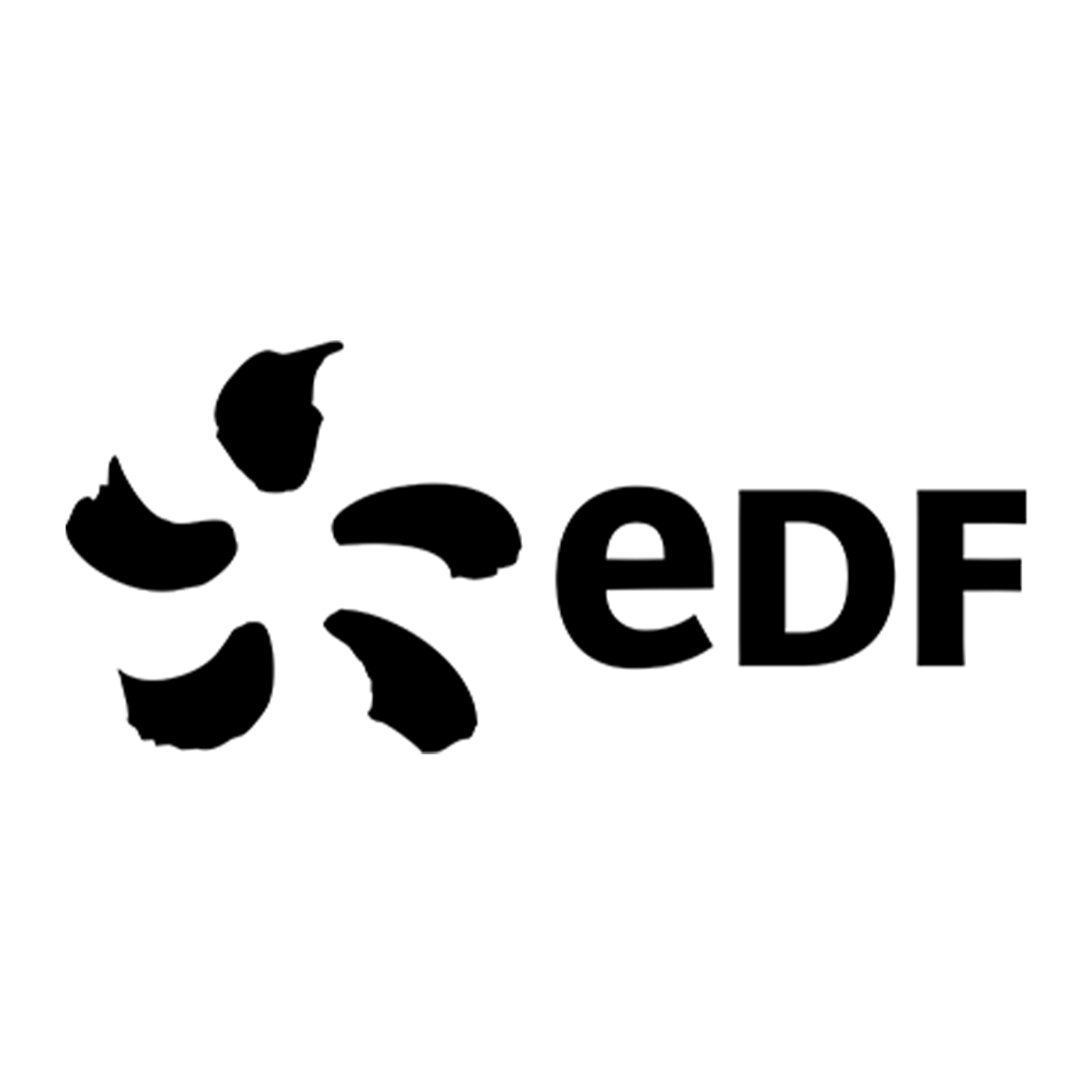 edf-logo